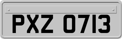 PXZ0713