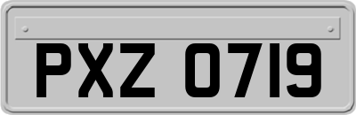 PXZ0719