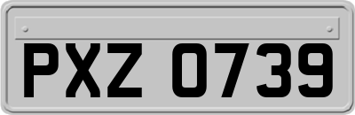 PXZ0739