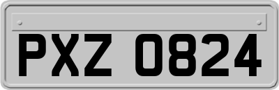 PXZ0824