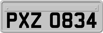 PXZ0834