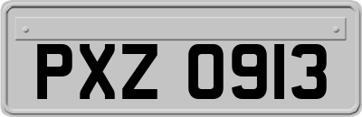 PXZ0913