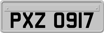 PXZ0917