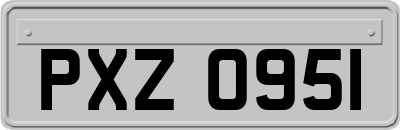 PXZ0951