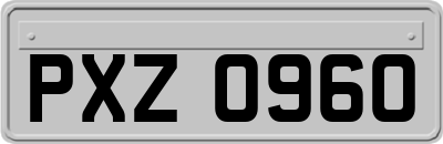 PXZ0960