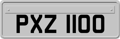 PXZ1100