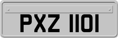 PXZ1101