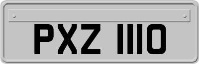 PXZ1110