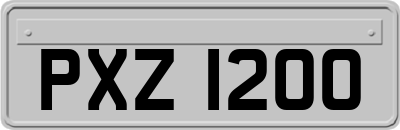 PXZ1200