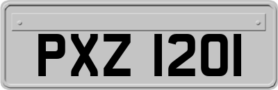 PXZ1201