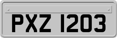 PXZ1203