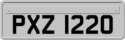 PXZ1220