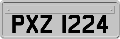 PXZ1224