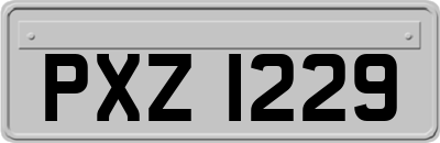 PXZ1229