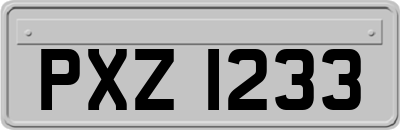 PXZ1233