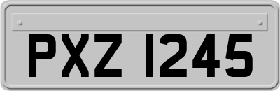 PXZ1245
