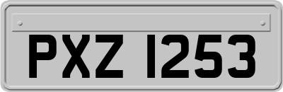 PXZ1253