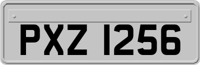 PXZ1256