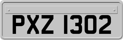 PXZ1302