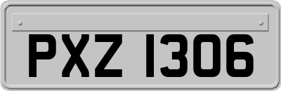 PXZ1306