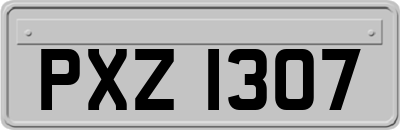 PXZ1307