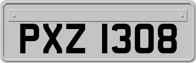 PXZ1308