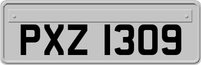 PXZ1309