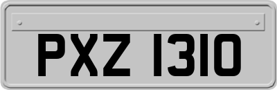 PXZ1310