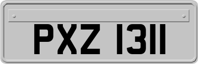 PXZ1311