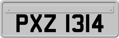 PXZ1314