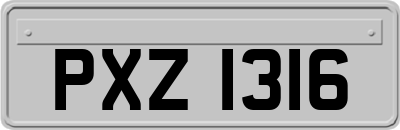 PXZ1316