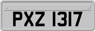 PXZ1317