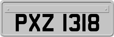 PXZ1318