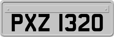 PXZ1320