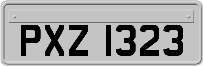 PXZ1323