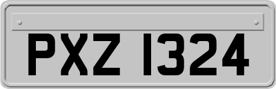 PXZ1324