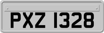 PXZ1328