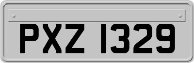 PXZ1329