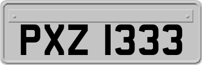 PXZ1333