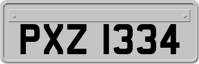 PXZ1334