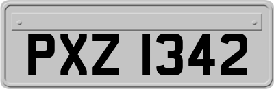 PXZ1342