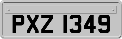 PXZ1349