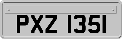 PXZ1351