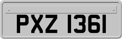 PXZ1361