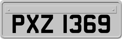 PXZ1369