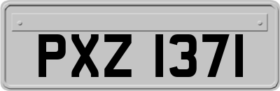 PXZ1371