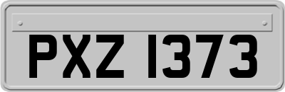 PXZ1373