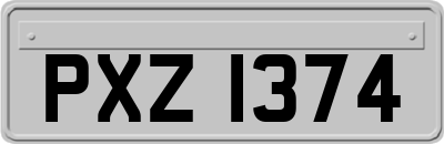 PXZ1374