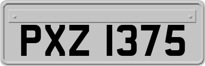 PXZ1375