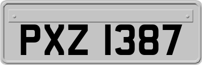 PXZ1387